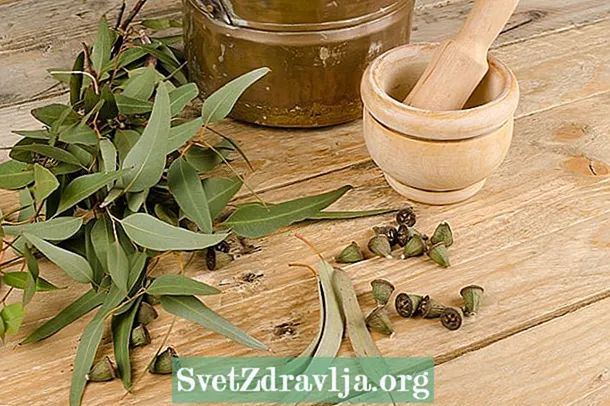 Abincin Eucalyptus: menene don kuma yadda ake shirya shi