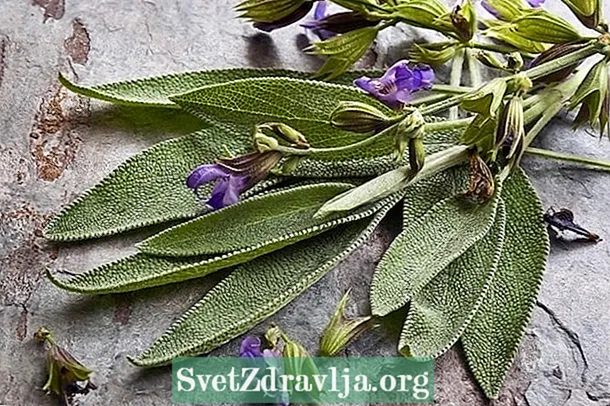 Çaji Salvia: për çfarë shërben dhe si ta pini - Durim