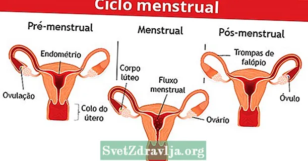Cearcall menstrual: dè a th ’ann, prìomh ìrean agus comharraidhean