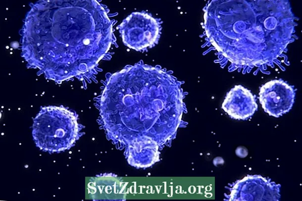 Lymfocyty: čo to je a prečo môžu byť zmenené