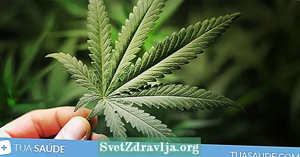 Marijuana, id est effectus, et nocet ad beneficia medicinalis herba