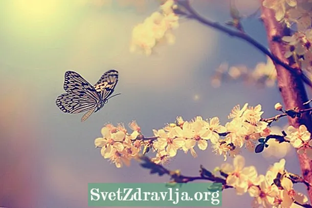 Por a les papallones: símptomes, causes i tractament