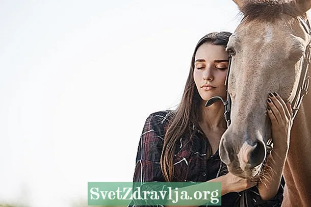 Mis on hobuste entsefalomüeliit, millised on sümptomid ja kuidas ravida - Sobivus