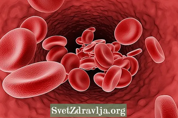Was ist Blutstillung und wie passiert es?