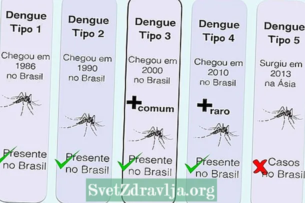 Hvad er de forskellige typer af dengue og mest almindelige spørgsmål
