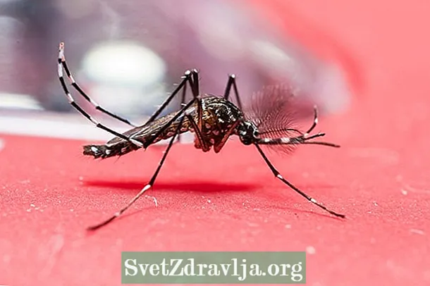Kateri testi pomagajo diagnosticirati virus Zika