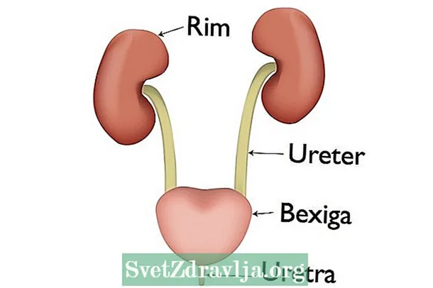 Swollen nier: wat it kin wêze, oarsaken en behanneling
