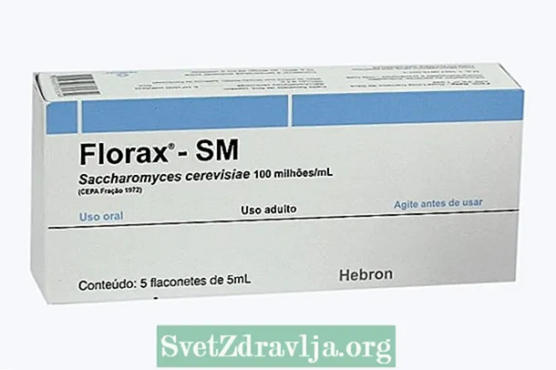 Saccharomyces Cerevisiae (Florax)