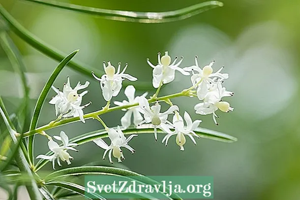 Шатаварі - лікарська рослина, що покращує родючість