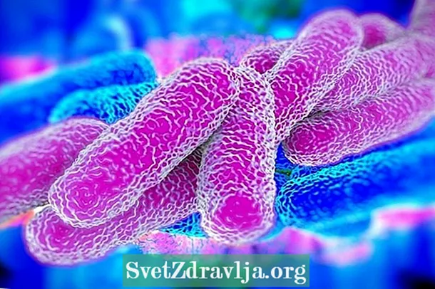 Superbacteria: zvavari, zvavari uye kurapwa kwacho kwakadii - Utano