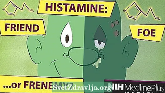 Histamín: Alergie na látky sú vyrobené z
