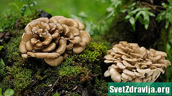 3 spiselige vilde svampe (og 5 der skal undgås) - Ernæring