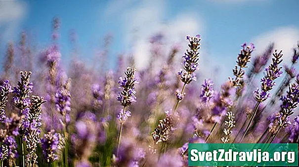 4 Fördelar och användningar av lavendelte och extrakt - Näring