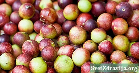 7 Camu Camu bizonyítékokon alapuló egészségügyi előnyei - Wellness