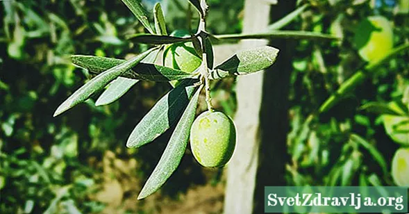 8 Benefici Emergenti di Foglie di Mango