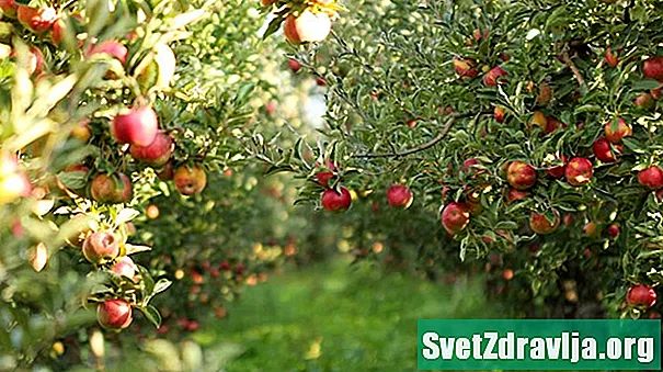 Æbler 101: Næringsfakta og sundhedsmæssige fordele - Ernæring
