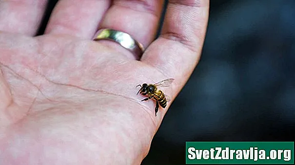 Bee Venom: Gumagamit, Mga Pakinabang, at Side effects