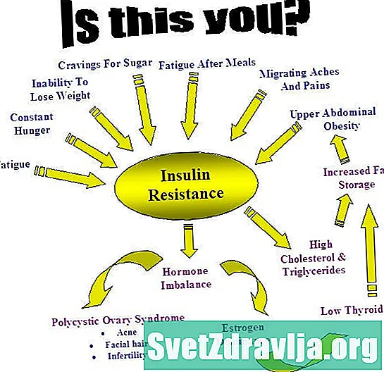 Resistència a la insulina i a la insulina - La guia definitiva - Nutrició
