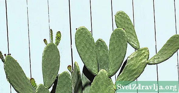 Är kaktusvatten bra för dig? - Wellness