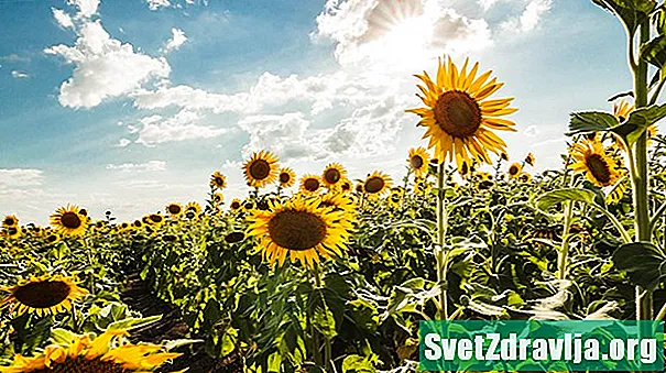 Ist Sonnenblumenöl gesund?