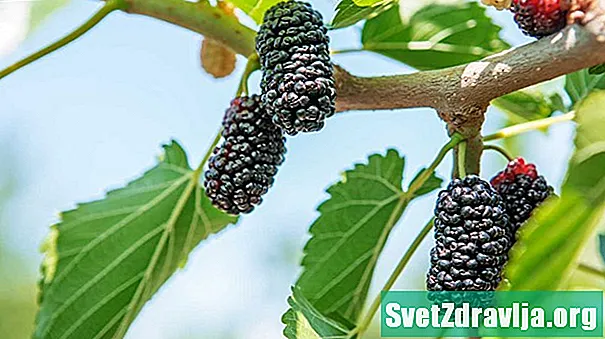 Mulberries 101: Qidalanma faktları və sağlamlığa faydaları