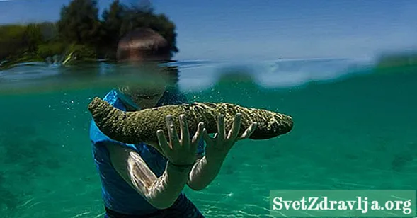Sea Cucumber: Usa ka Dili Talagsa nga Pagkaon nga adunay Mga Kaayohan sa Panglawas - Nutrisyon