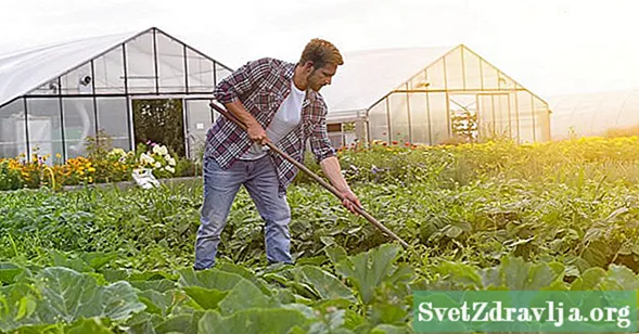 The Clean Fifteen: 15 alimentos baixos en pesticidas