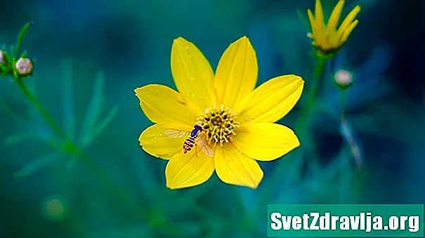 11 Manfaat Kesihatan Terhadap Bee Pollen