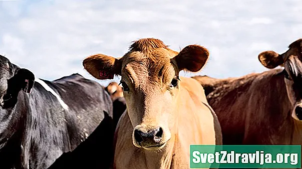 Što je goveđi kolagen i ima li koristi?